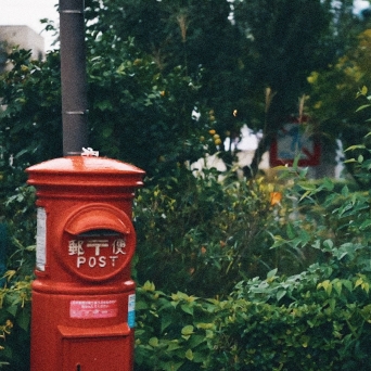 サムネイル画像